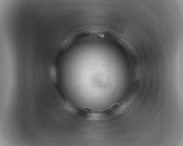 X0000111040575200907021601