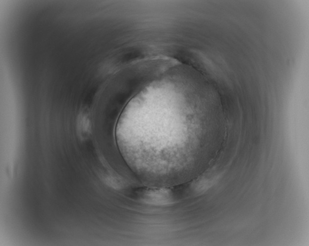 X0000111040576200907021601