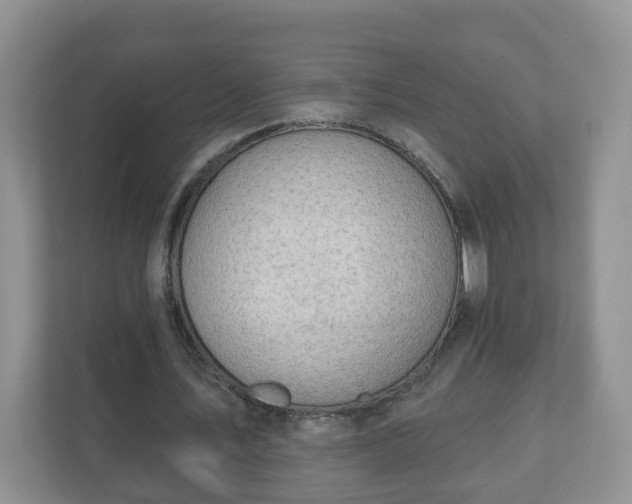 X0000111040579200907021600