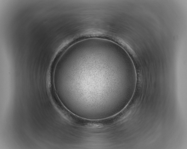 X0000111040582200907021600