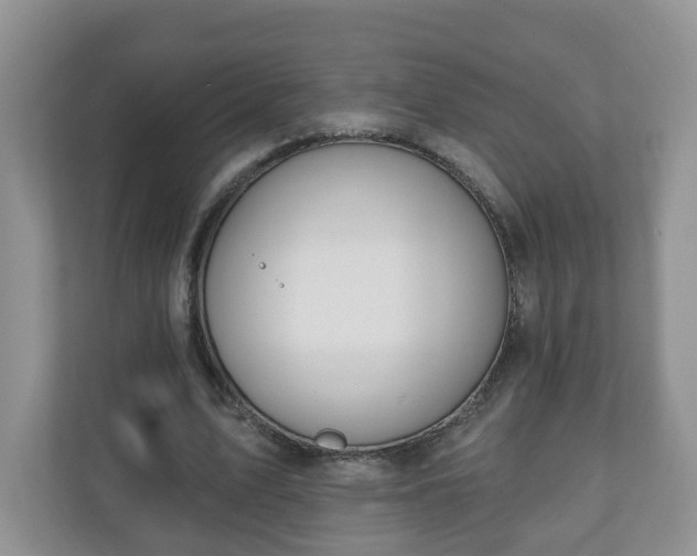 X0000111040583200907021600