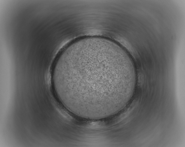 X0000111040584200907021600