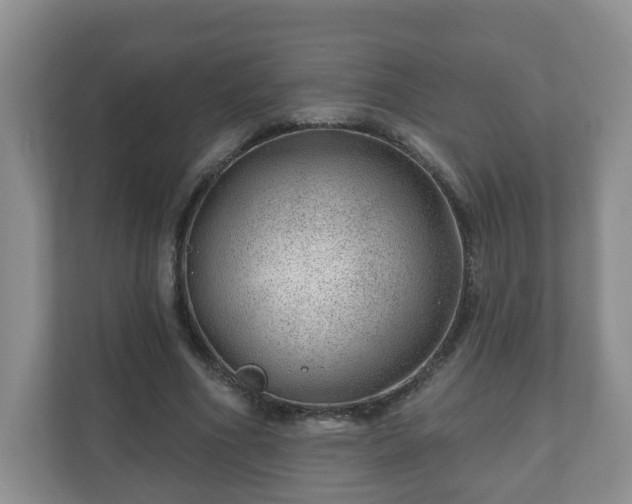 X0000111040586200907021600