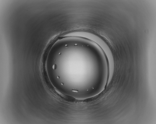 X0000111040587200907021600
