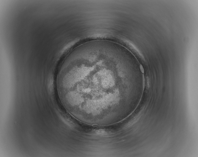 X0000111040588200907021600