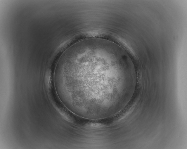 X0000111040590200907021600