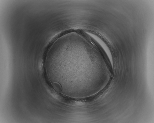 X0000111040592200907021600
