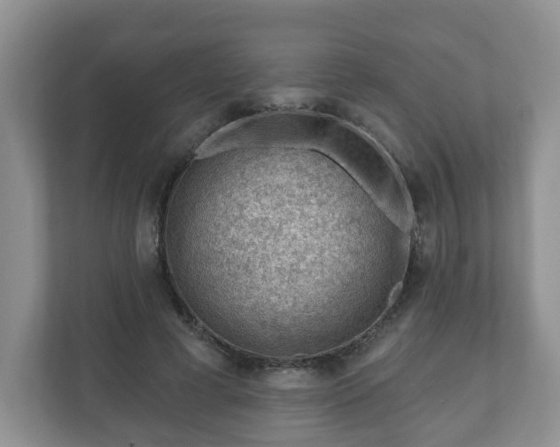 X0000111040593200907021600