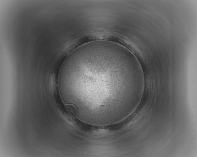 X0000111040594200907021600