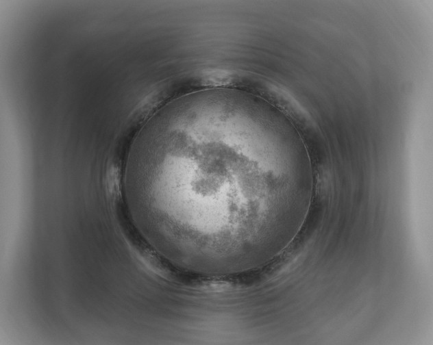 X0000111040598200907021600