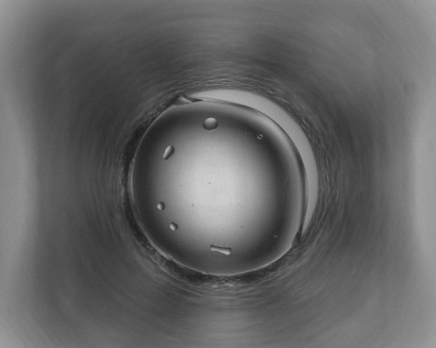 X0000111040599200907021600