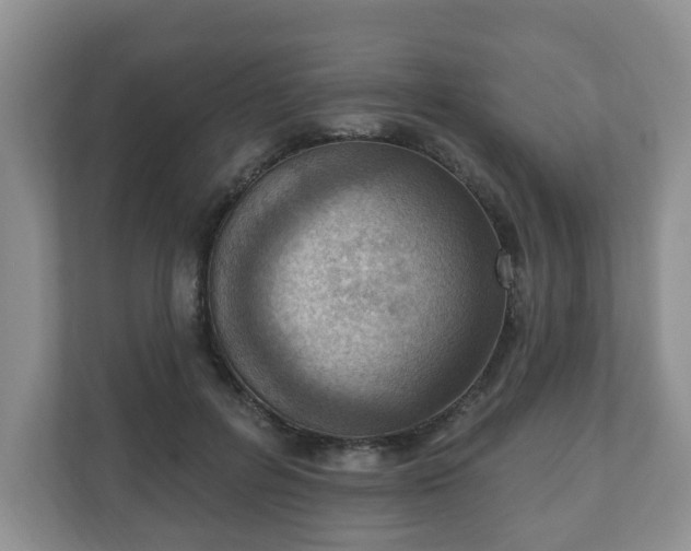 X0000111040600200907021600