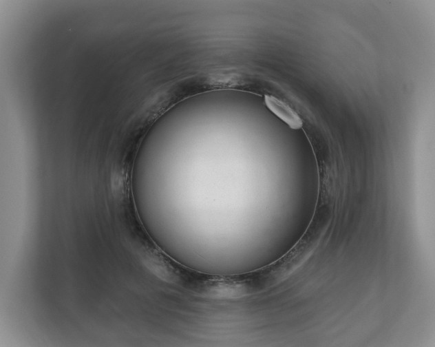 X0000111040601200907021600