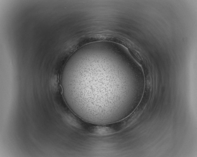 X0000111040605200907021600