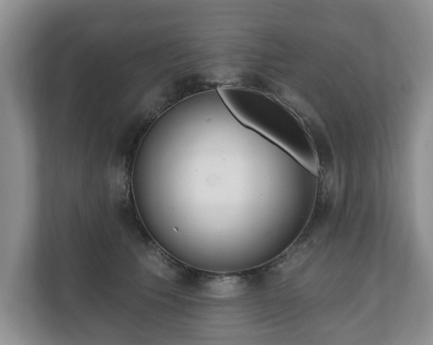 X0000111040609200907021600