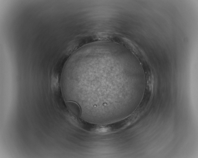 X0000111040610200907021559
