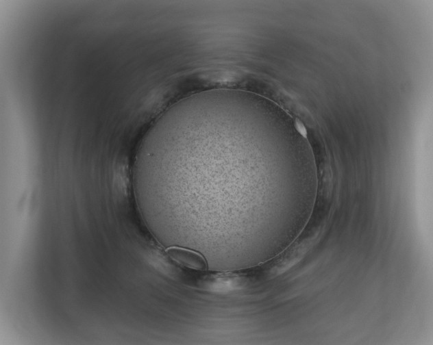 X0000111040612200907021559