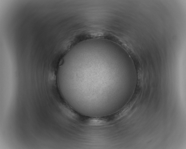 X0000111040614200907021559
