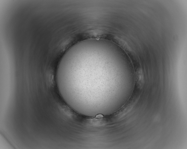 X0000111040615200907021559