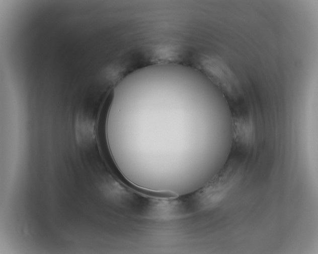 X0000111040621200907021559