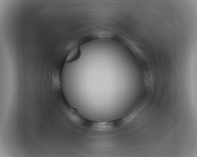 X0000111040622200907021559