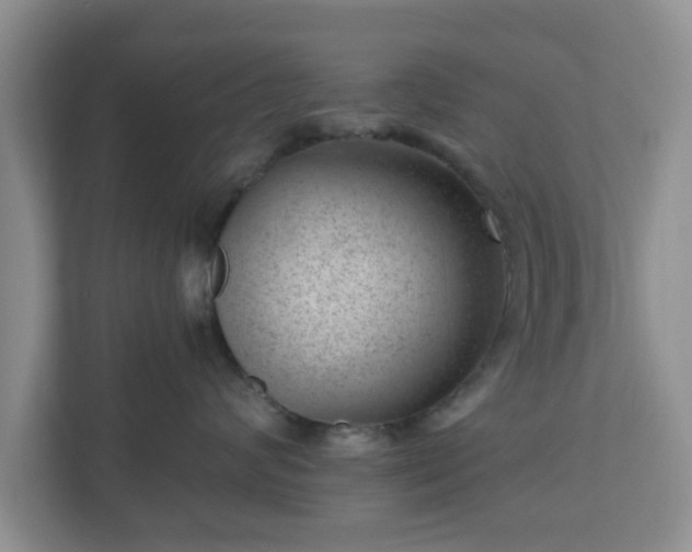 X0000111040624200907021559