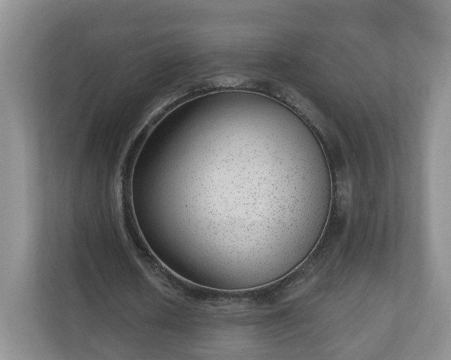 X0000111040626200907021559