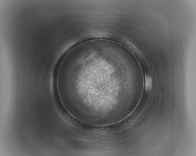 X0000111040627200907021559