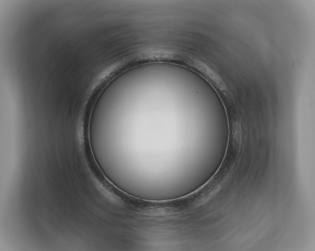 X0000111040629200907021559