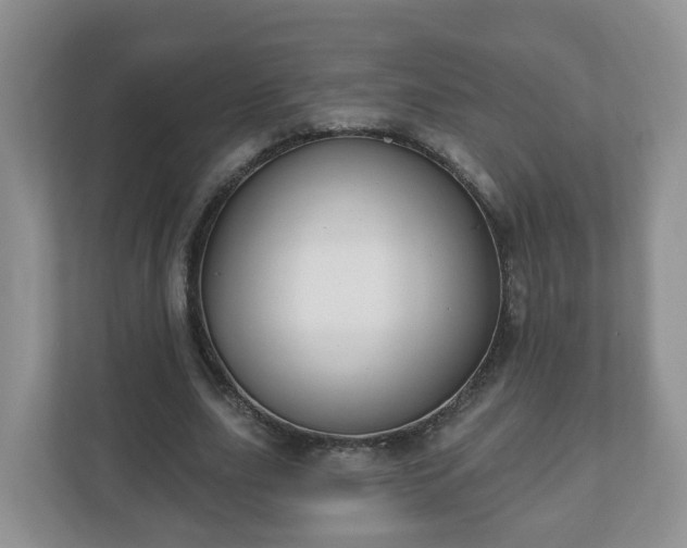 X0000111040631200907021559