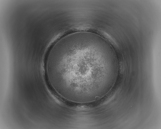 X0000111040634200907021559