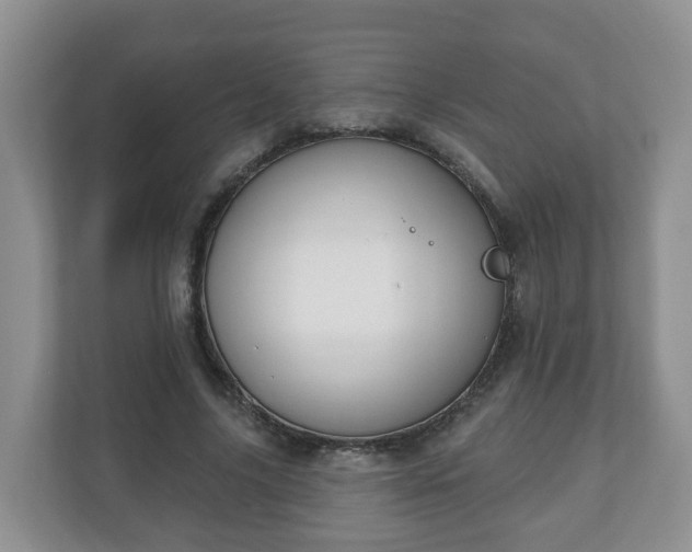 X0000111040635200907021559