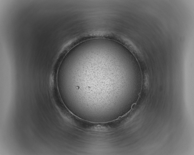 X0000111040636200907021559