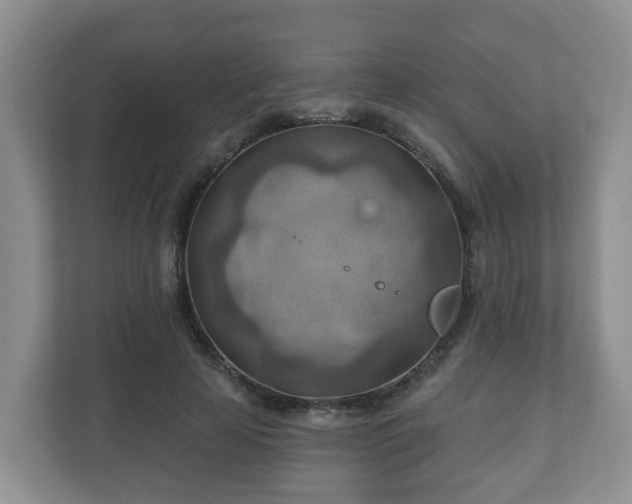X0000111040641200907021559