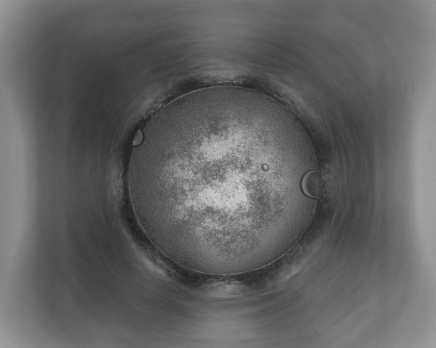 X0000111040642200907021559