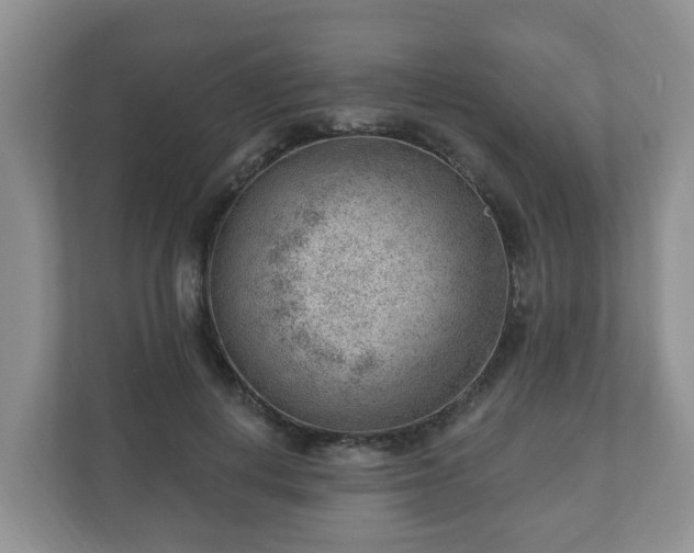X0000111040648200907021559