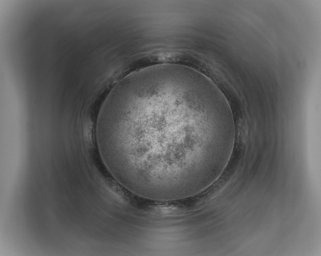 X0000111040650200907021559