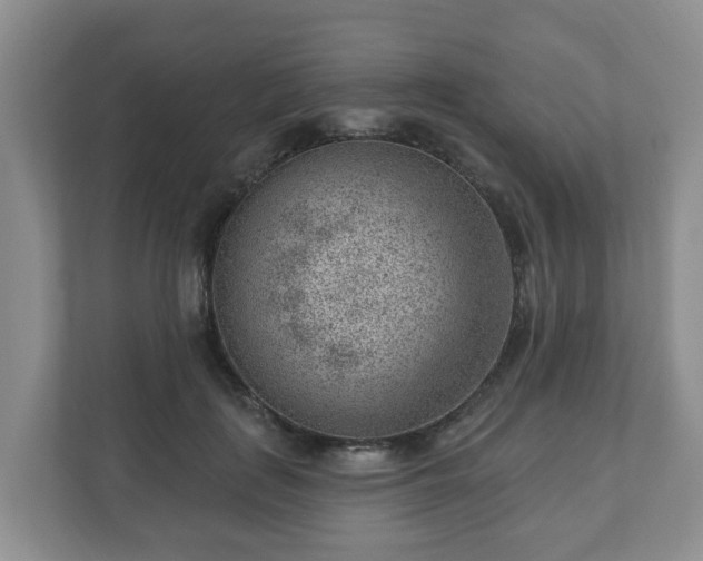 X0000111040651200907021559