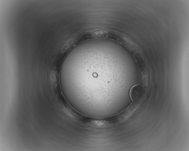 X0000111040654200907021559