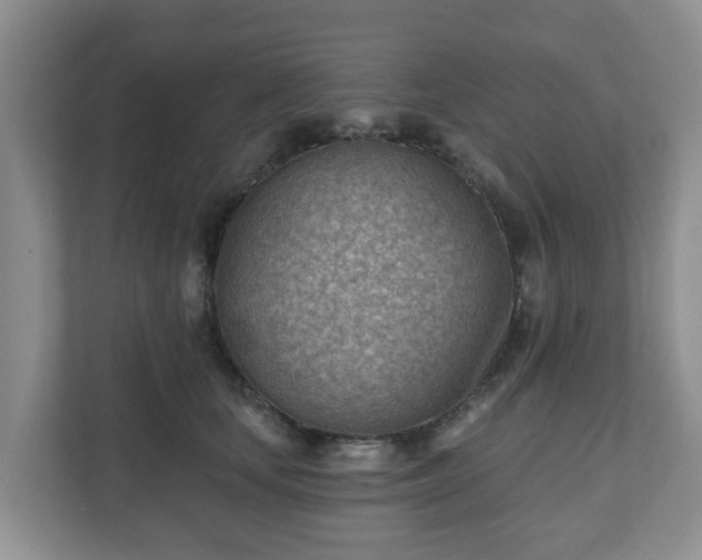 X0000111040659200907021559