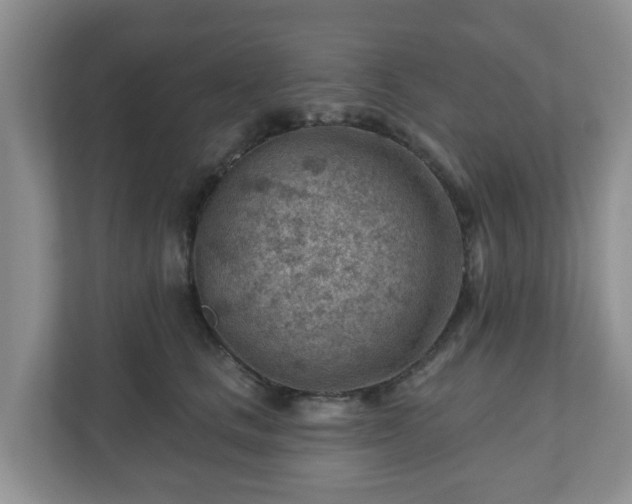 X0000111040661200907021559