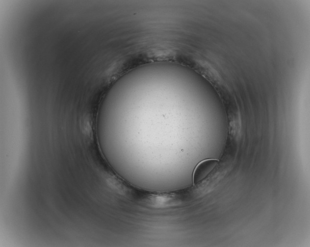 X0000111040662200907021559