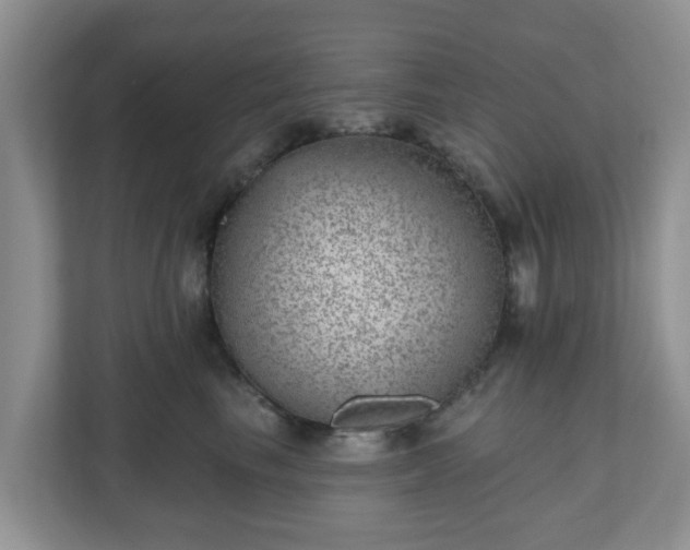 X0000111040665200907021559