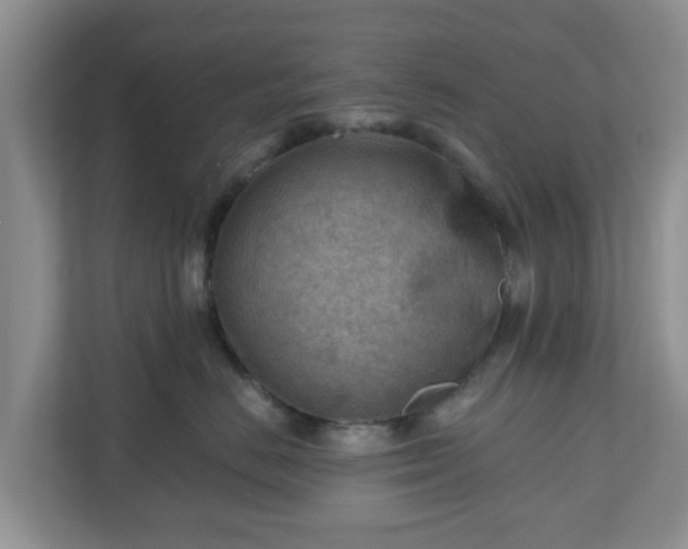 X0000111040670200907021559