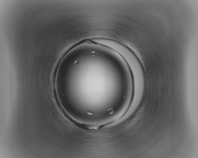 X0000111040673200907021559