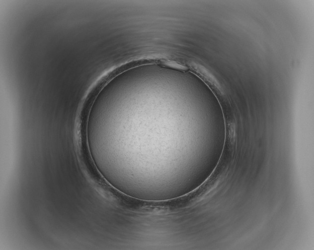 X0000111040676200907021559