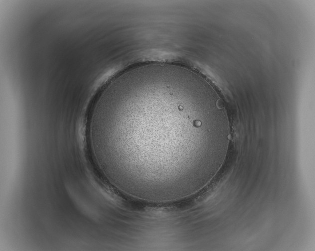 X0000111040679200907021559