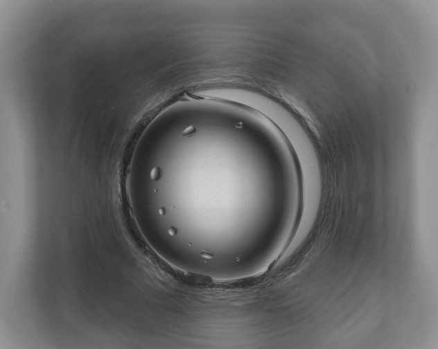 X0000111040681200907021559