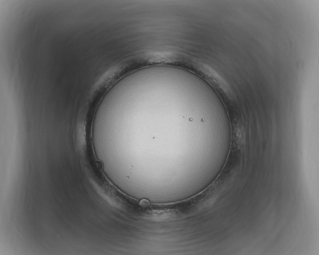 X0000111040686200907021559