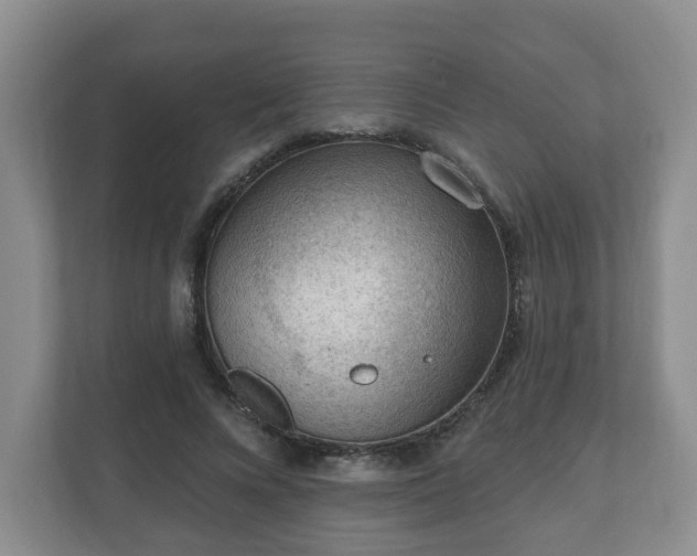 X0000111040688200907021558